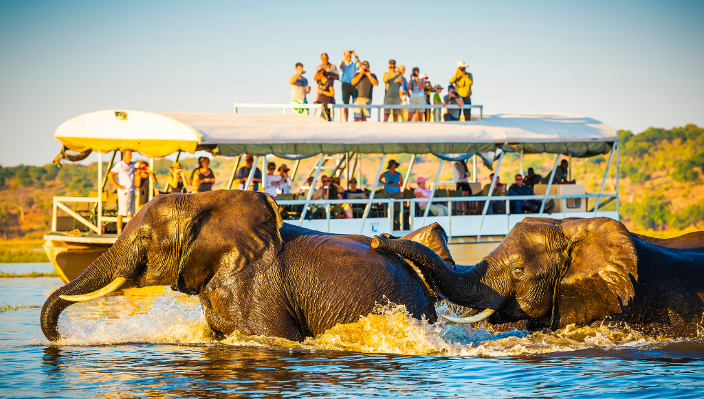 Tauck<br />
"10-Day Cape Town & Kruger National Park": This image connects directly to the African safari experience, featuring travelers observing wildlife in their natural habitat, which is a highlight of Tauck’s luxury tours in South Africa.